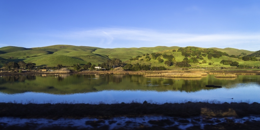 Calendar - BayAreaScience.org As one of the fastest-growing parts of the Bay Area, Silicon Valley needs a reliable, safe and drought-proof water supply. What can be done in the near term ... - Calendar - BayAreaScience.org