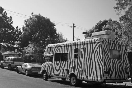 zebra rv