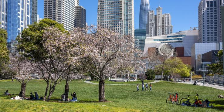 park in san francisco