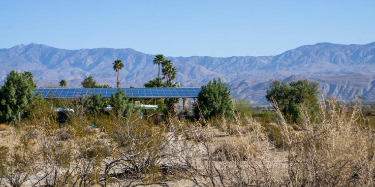 solar panels in the desert