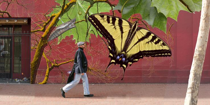 Person walks by a mural of a butterfly.