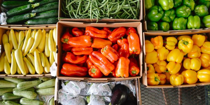 Aerial view of brightly colored peppers, squash, green beans and eggplants in boxes