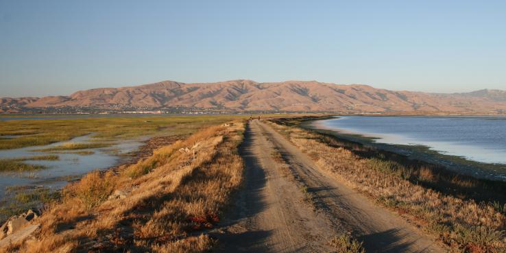 Alviso Marina Park