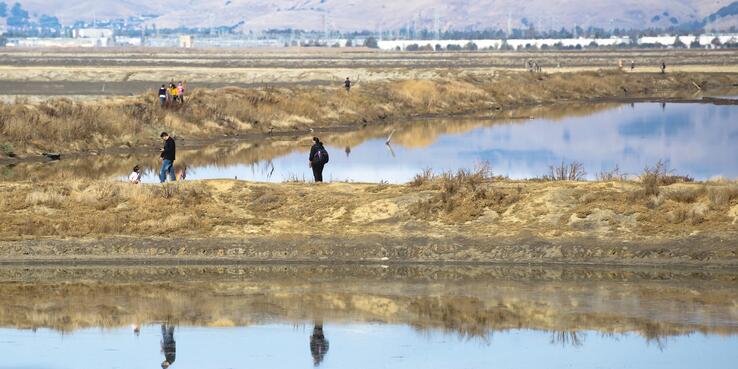Image of people walking by the water in Alviso, San Jose