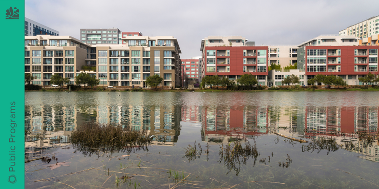 King Tide