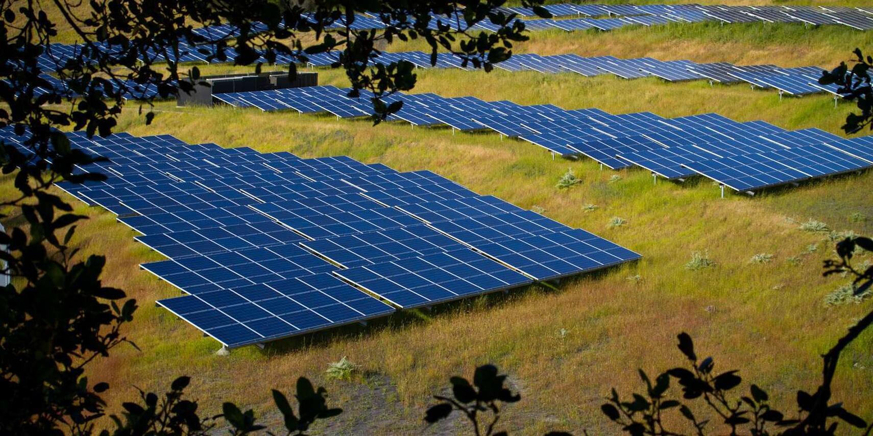 What Would a Green Stimulus for California Look Like? SPUR