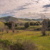 A picture of Coyote Valley