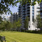 Housing towers in the park