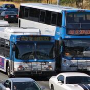 Buses stuck in traffic