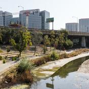 Guadalupe River Park