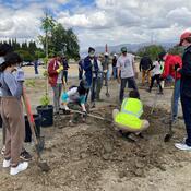 volunteers