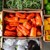 Aerial view of brightly colored peppers, squash, green beans and eggplants in boxes