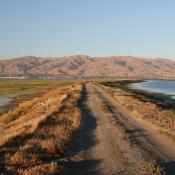 Alviso Marina Park