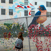 Image of street art near mid-Market, San Francisco