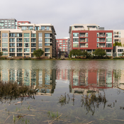 King Tide