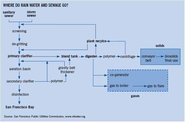 Where do rain water and sewage go?