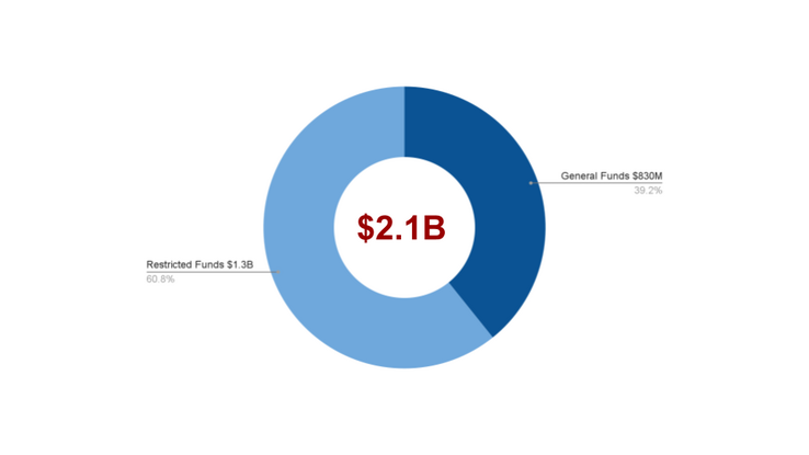 General vs. Restricted Funds