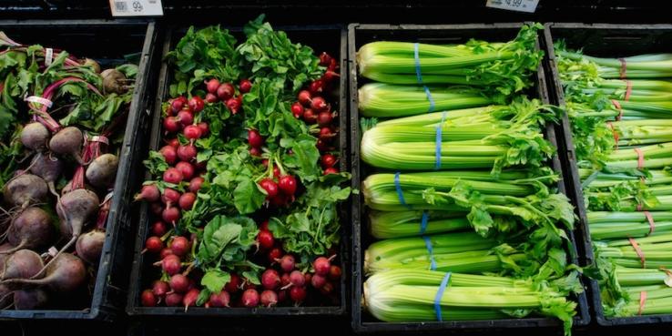 Produce shelves. Photo by Lance Cheung, courtesy of USDA via Flickr.