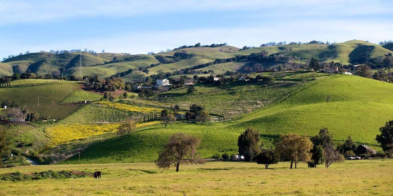 Evergreen Senior Homes Initiative Vote No in June SPUR