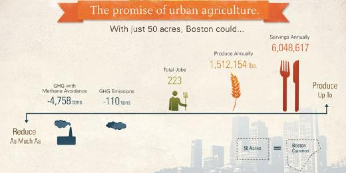 North American Cities Produce Bumper Crop of Urban Agriculture Studies