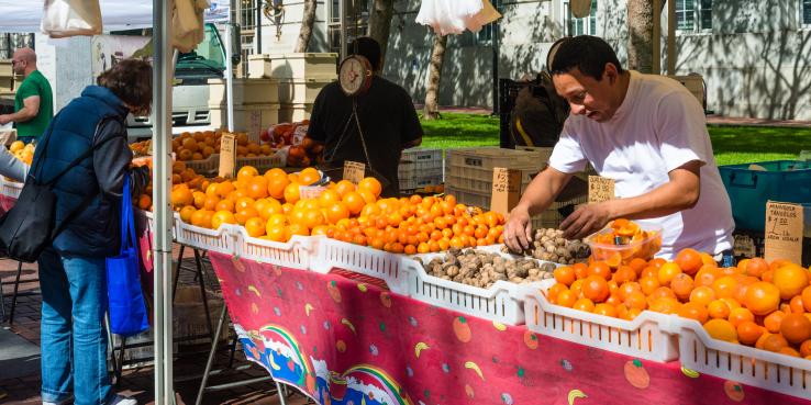 farmer's market