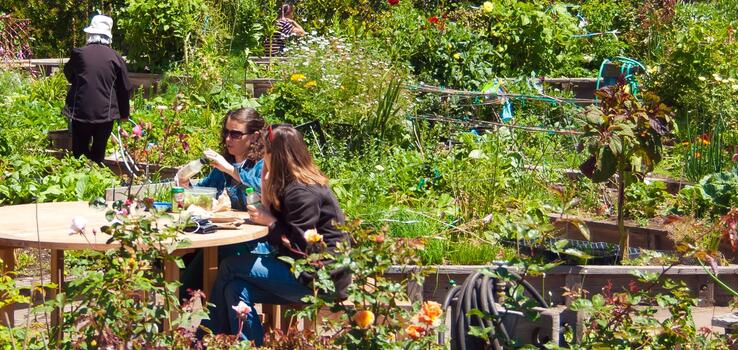 People eating food in a community garden