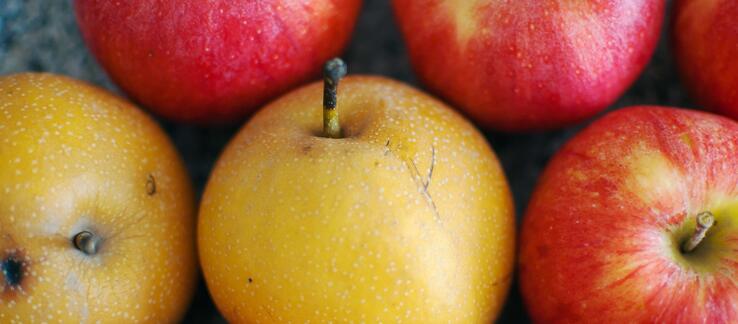 Close-up of apples