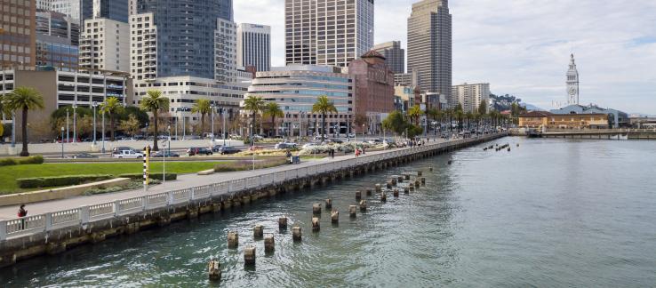 City streets and buildings next to waterfront. Wooden poles stick up from the water.