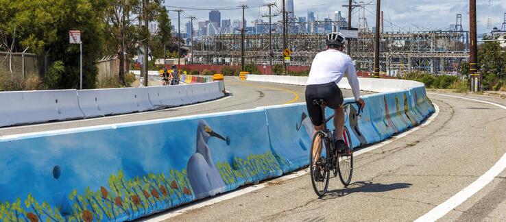 cyclist riding on a road with separated bike lanes