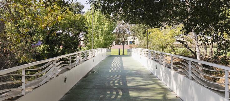 photo of a pedestrian bridge and tree cover over the Guadalupe River