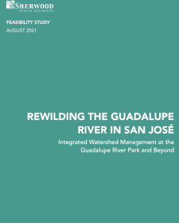 Rewilding the Guadalupe River in San José