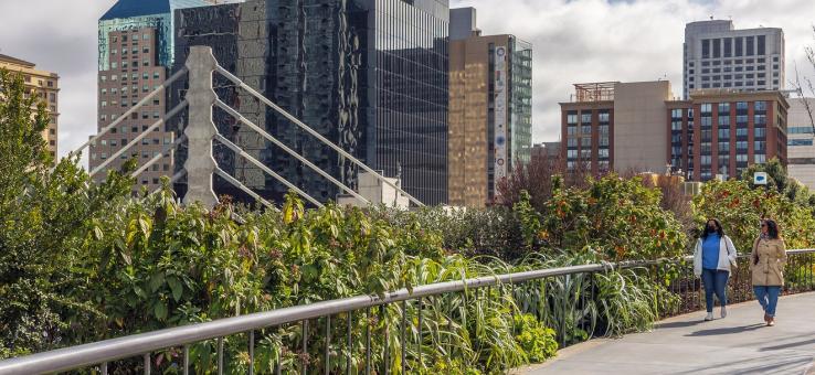 People walking in Salesforce Park
