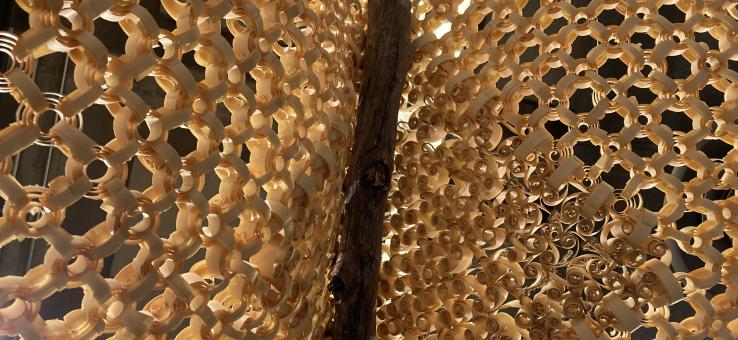 wood