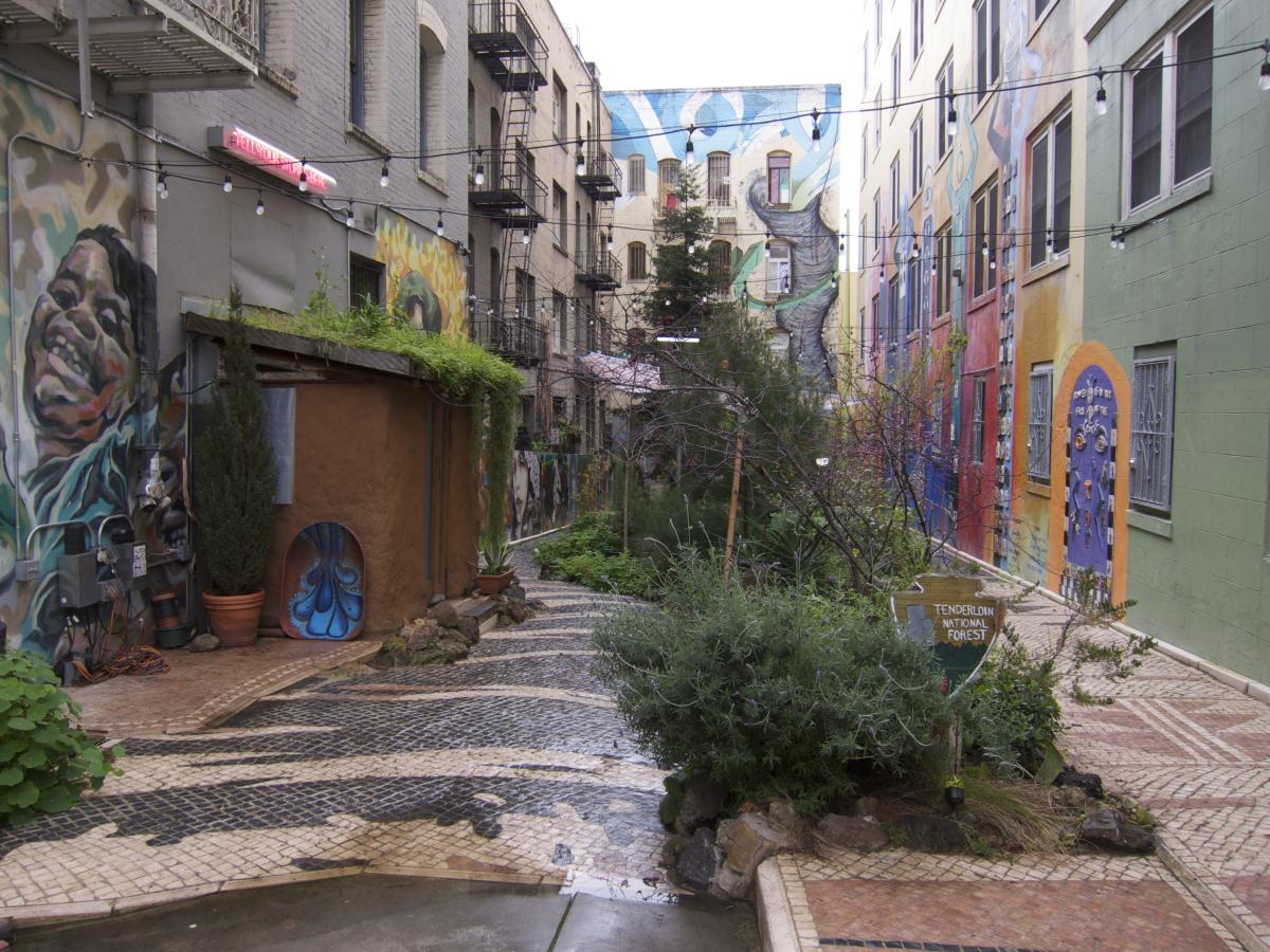 A Forest in the City Tenderloin National Forest Tour SPUR