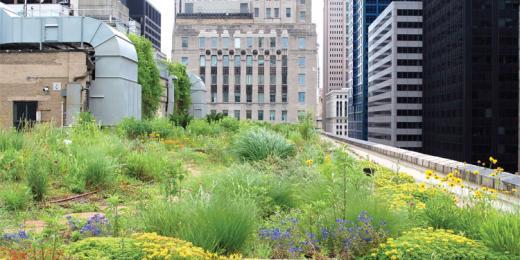 8 Shades of Green Infrastructure