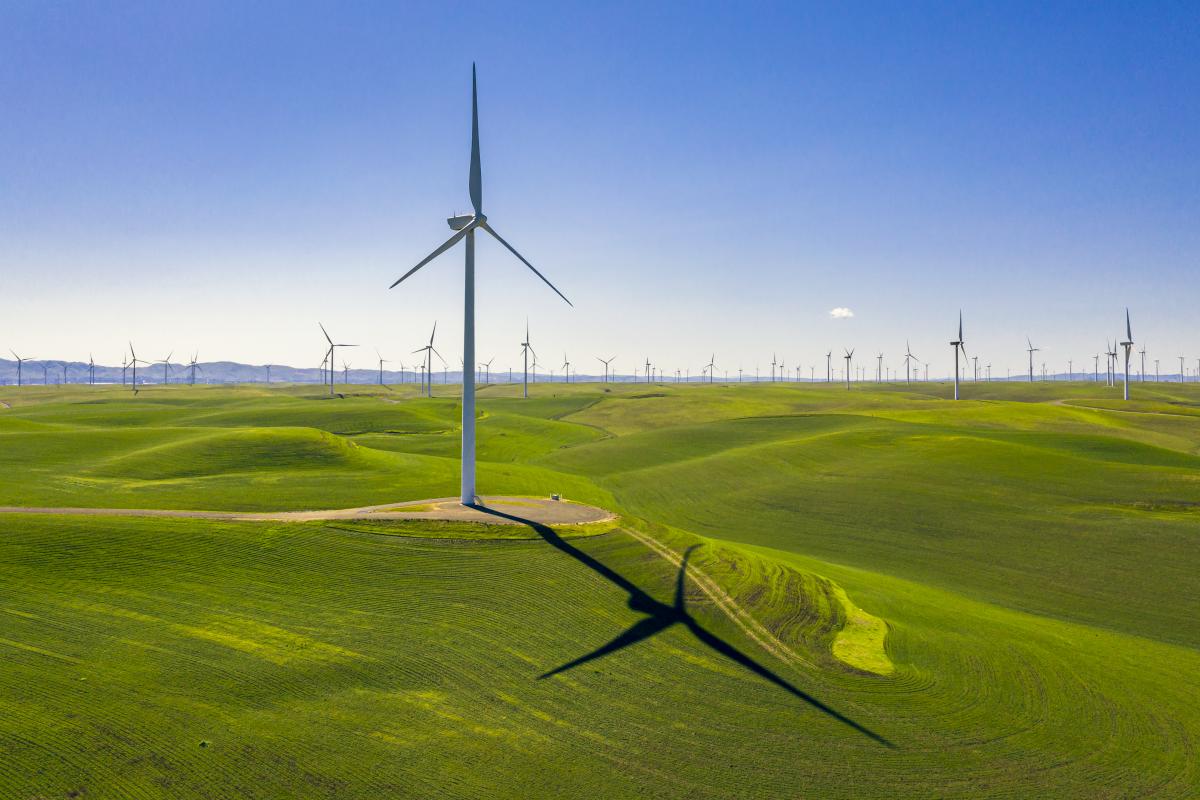 How to Make California’s Budget Surplus a Good Deal for the Climate SPUR