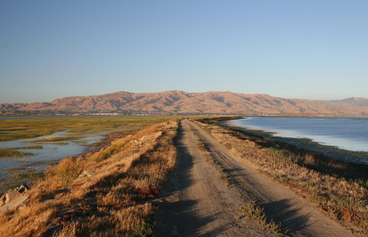 Navigating the South San Francisco Bay Shoreline: A Conversation of the 