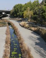The Guadalupe River Park