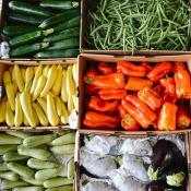 Boxes of colorful fresh vegetables