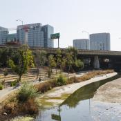 Guadalupe River Park 