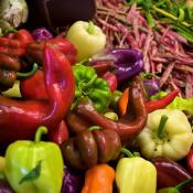 Peppers and Vegetables 