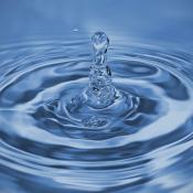 Close-up Photo of Water Drop by Aleksandr Slobodianyk on Pexels