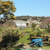 Candlestick Point community garden