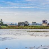 Marsh in baylands park, airport control tower in the background, Palo Alto, San Francisco bay area, California