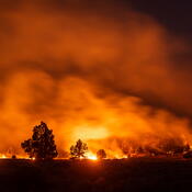 Coordinating to Ensure the Region’s Wildfire Resilience